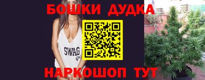 прущие крисы Новозыбков