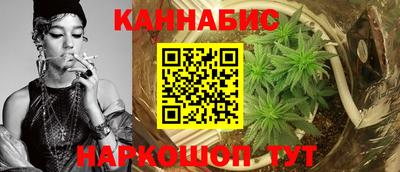 прущие крисы Новозыбков