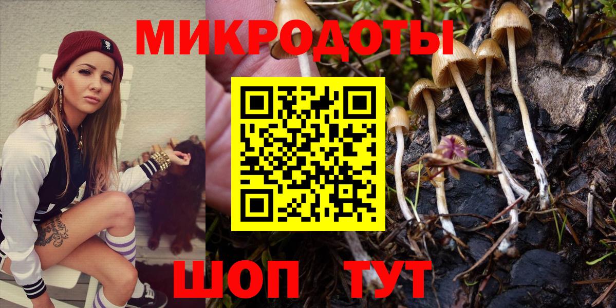 Псилоцибиновые грибы Cubensis Верхняя Пышма
