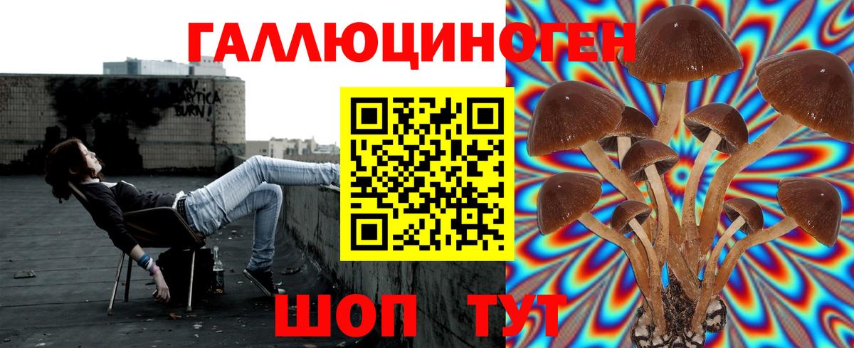 Верхняя Пышма  Галлюциногенные грибы MAGIC MUSHROOMS  Вход с VPN 